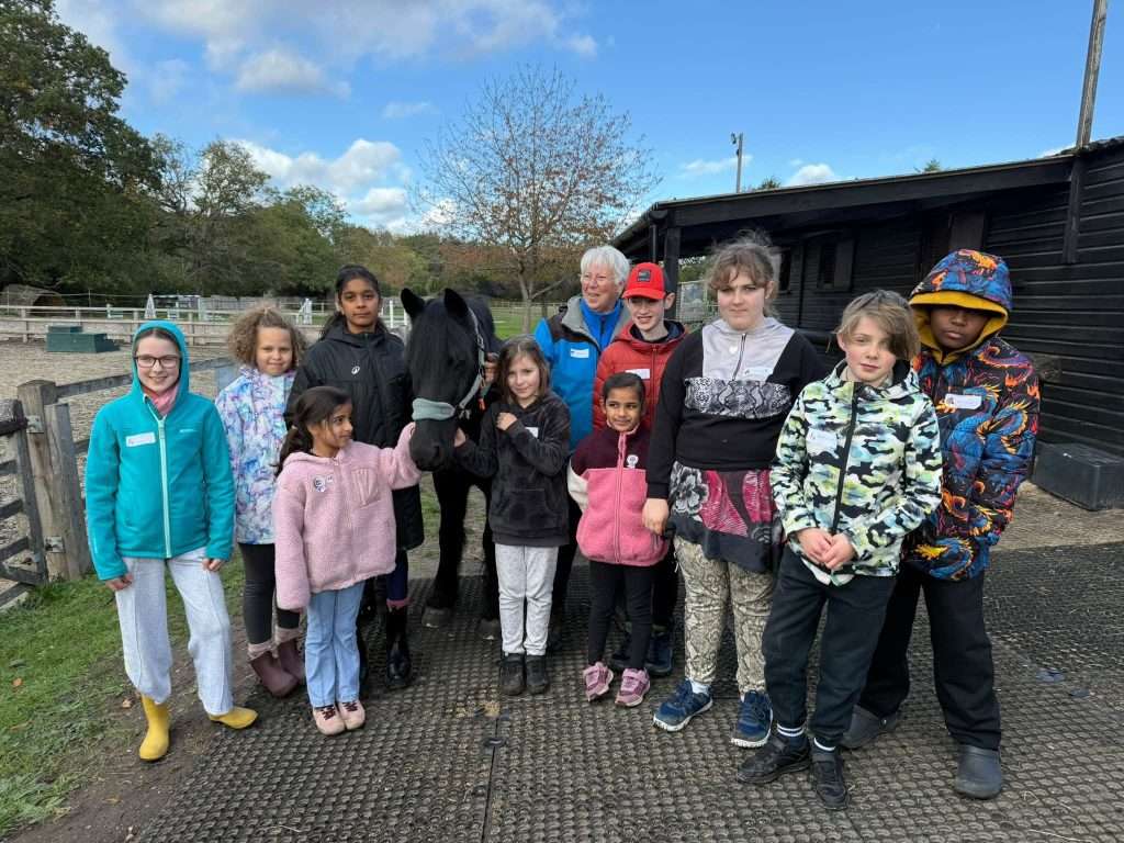 horse care workshop