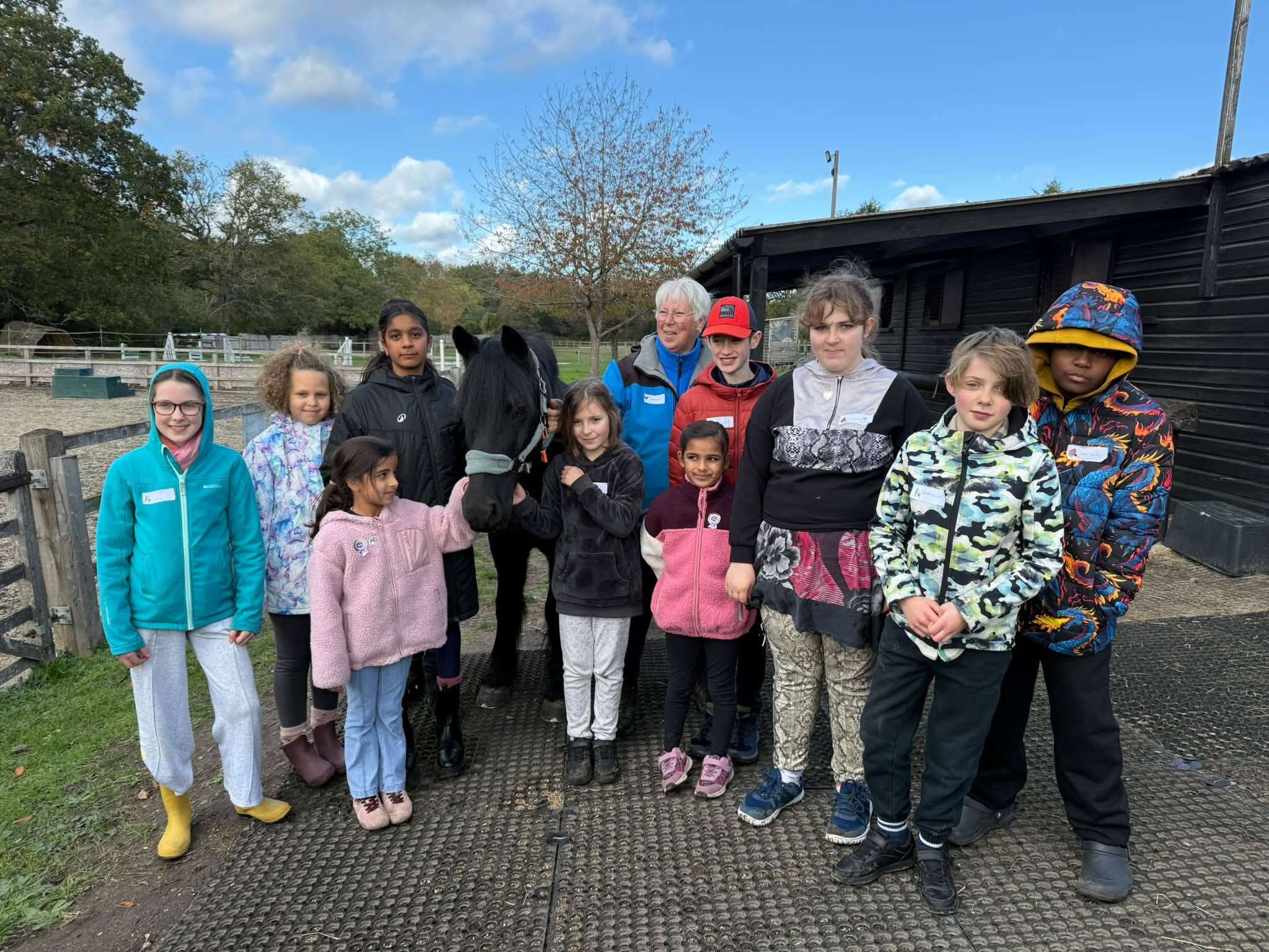 horse care workshop